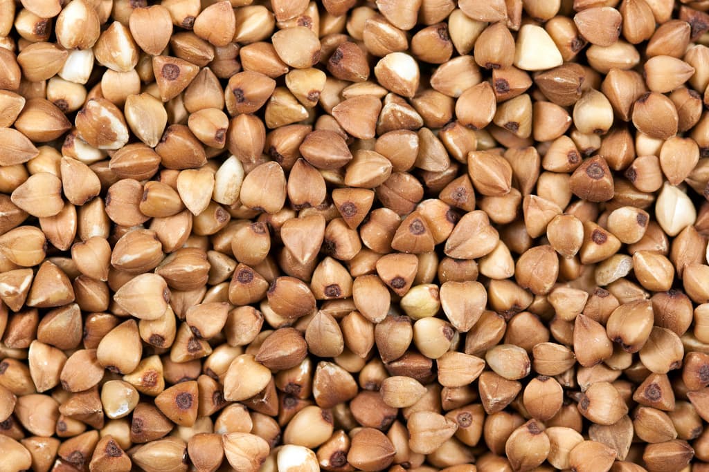 High quality Raw Buckwheat Seed